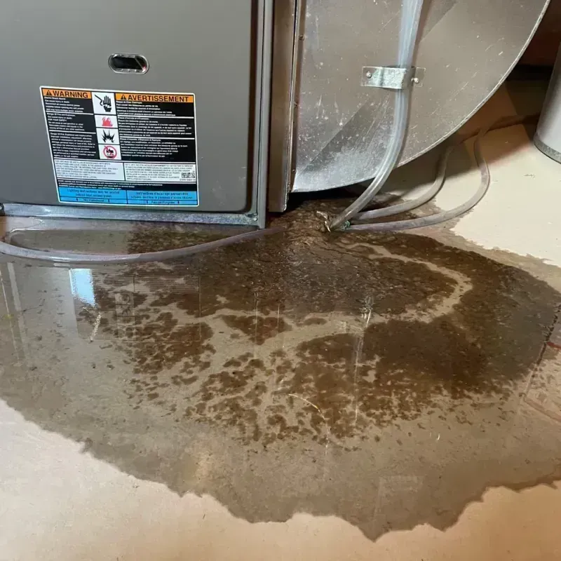 Appliance Leak Cleanup in West Liberty, KY